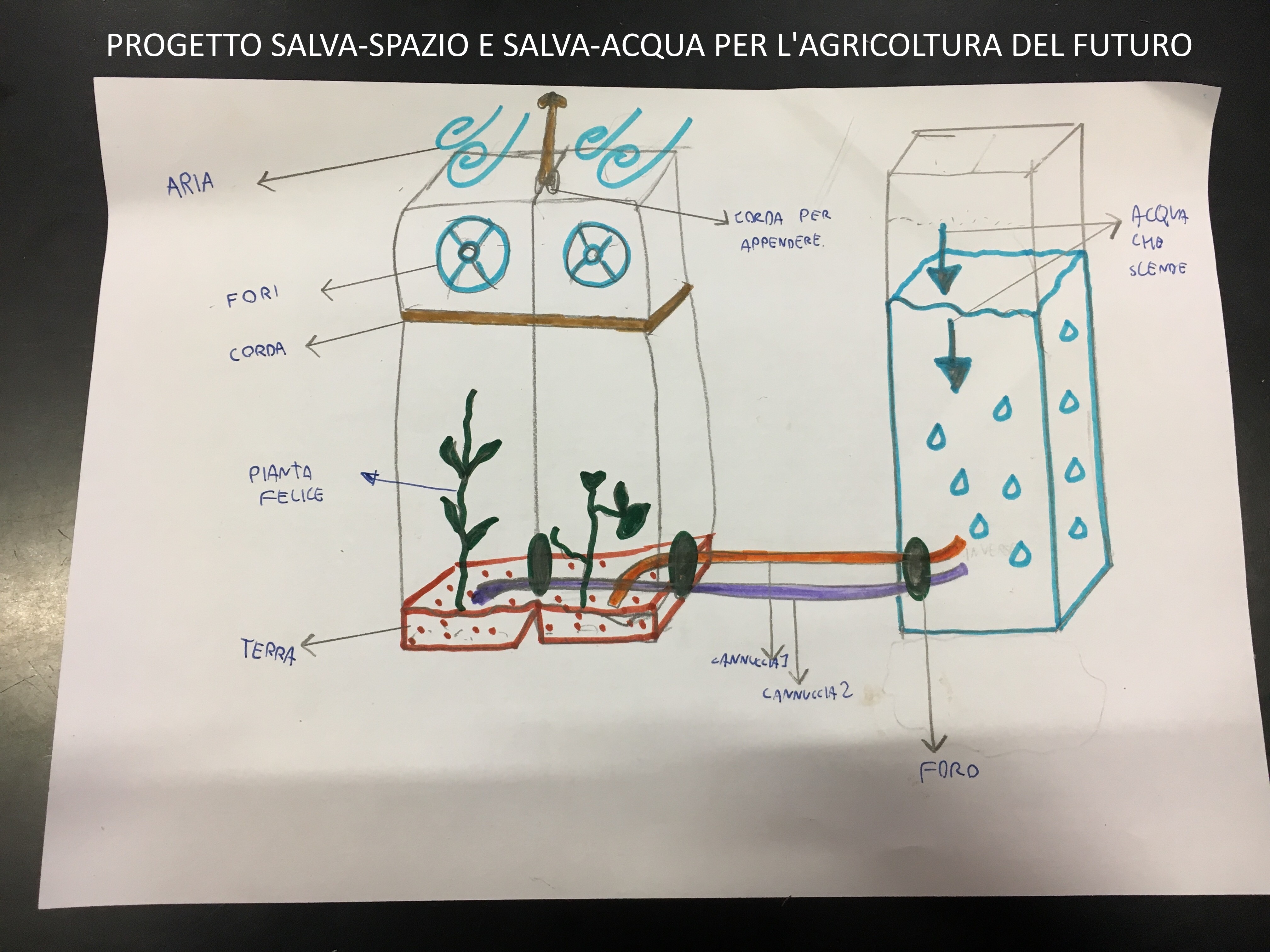 progetto salva-spazio e salva-acqua per l'agricoltura del futuro